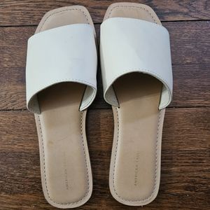 American Eagle Slide